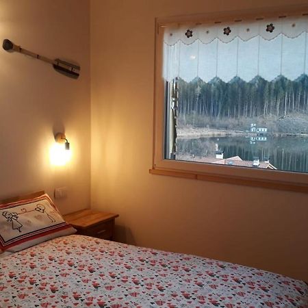 B&B Cuore Trentino Базельга-ди-Пине Экстерьер фото